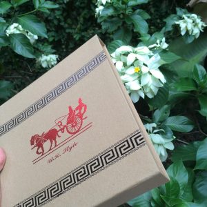 Đũa sứ cao cấp