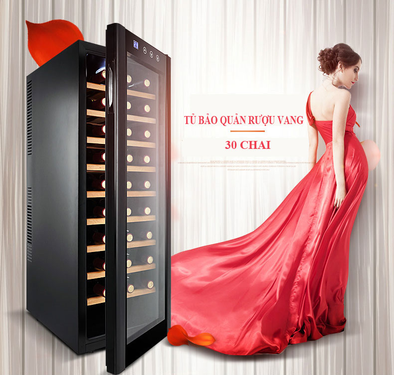 Tủ bảo quản ướp lạnh rượu vang 30 chai