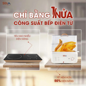 Nồi hấp điện nhiệt SEKA SK2088
