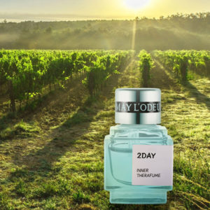 Nước hoa vùng kín 2DAY - May L’odeur Inner Therafume