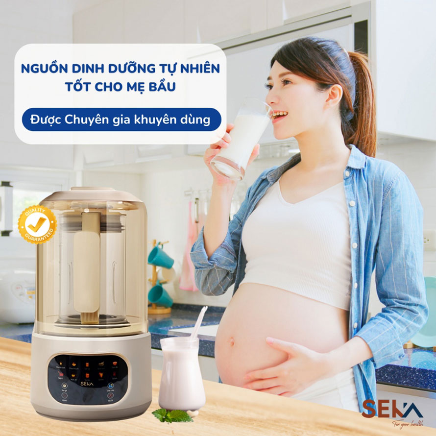 Máy Làm Sữa Hạt SEKA E500