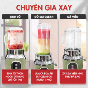 Máy xay sinh tố 3 cối đa năng SEKA HR2223