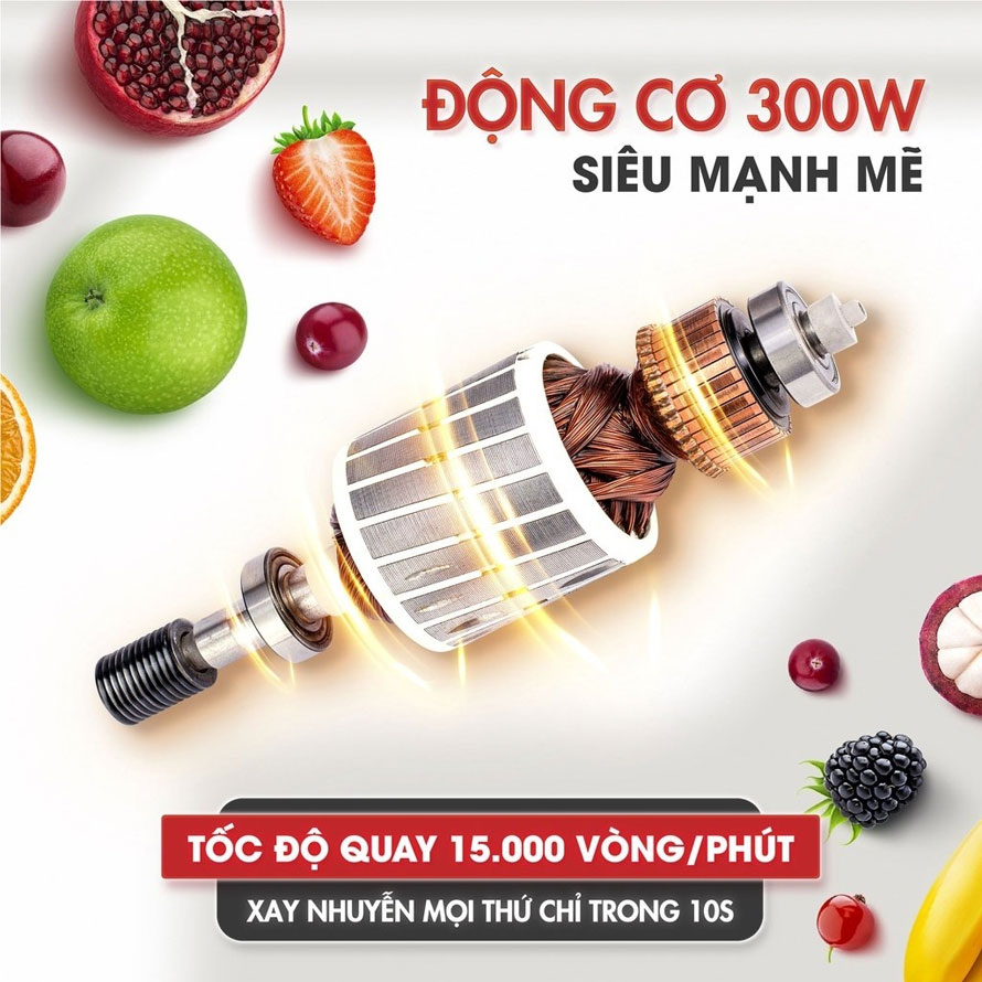 Máy xay sinh tố 3 cối đa năng SEKA HR2223