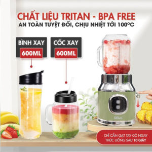 Máy xay sinh tố 3 cối đa năng SEKA HR2223